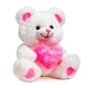 thumbnail image 3 of Oso de peluche HollyHome I Love You 33 cm con rubor LED, 3 of 8