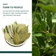 thumbnail image 2 of Soeos Whole Bay Leaves 2oz, Dried Laurel, Non-GMO Verified, Herb for Marinades, Stews and Soups, 2 of 9