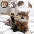 thumbnail image 5 of KAIYANG palitos de hierba gatera para gatos, juguetes naturales para limpiar los dientes de los gatos en interiores, 5 of 5