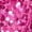 Hot Pink, variant on Girls Sequin Tassel Latin Dance Dress Sleeveless Halter Keyhole Back Jazz Hip-hop Dress For Talent Show Purple 16