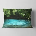 thumbnail image 2 of Designart Emerald Pond in Deep Forest - Landscape Photography Throw Pillow - 12x20, 2 of 5