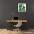 thumbnail image 3 of Bell, Lillian 20x20 White Modern Wood Framed Museum Art Print Titled - Succulent II, 3 of 4