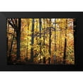thumbnail image 2 of Hausenflock, Alan 18x13 Black Modern Framed Museum Art Print Titled - Sunset Through the Woods II, 2 of 5