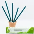 Mosquito Repelling Incense Sticks