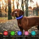 thumbnail image 5 of Collar para perros recargable con luz LED, collar de seguridad impermeable e intermitente con correa impermeable ajustable para perros pequeños/medianos/grandes, súper brillante, azul M, 5 of 5