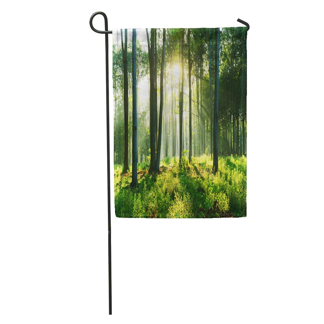 JSDART Brown Landscape Morning in The Forest Colorful Zen Birch