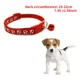 thumbnail image 3 of Collar De Gato Con Forma De Campanas Coloridas De 1 Pieza Co, 3 of 7