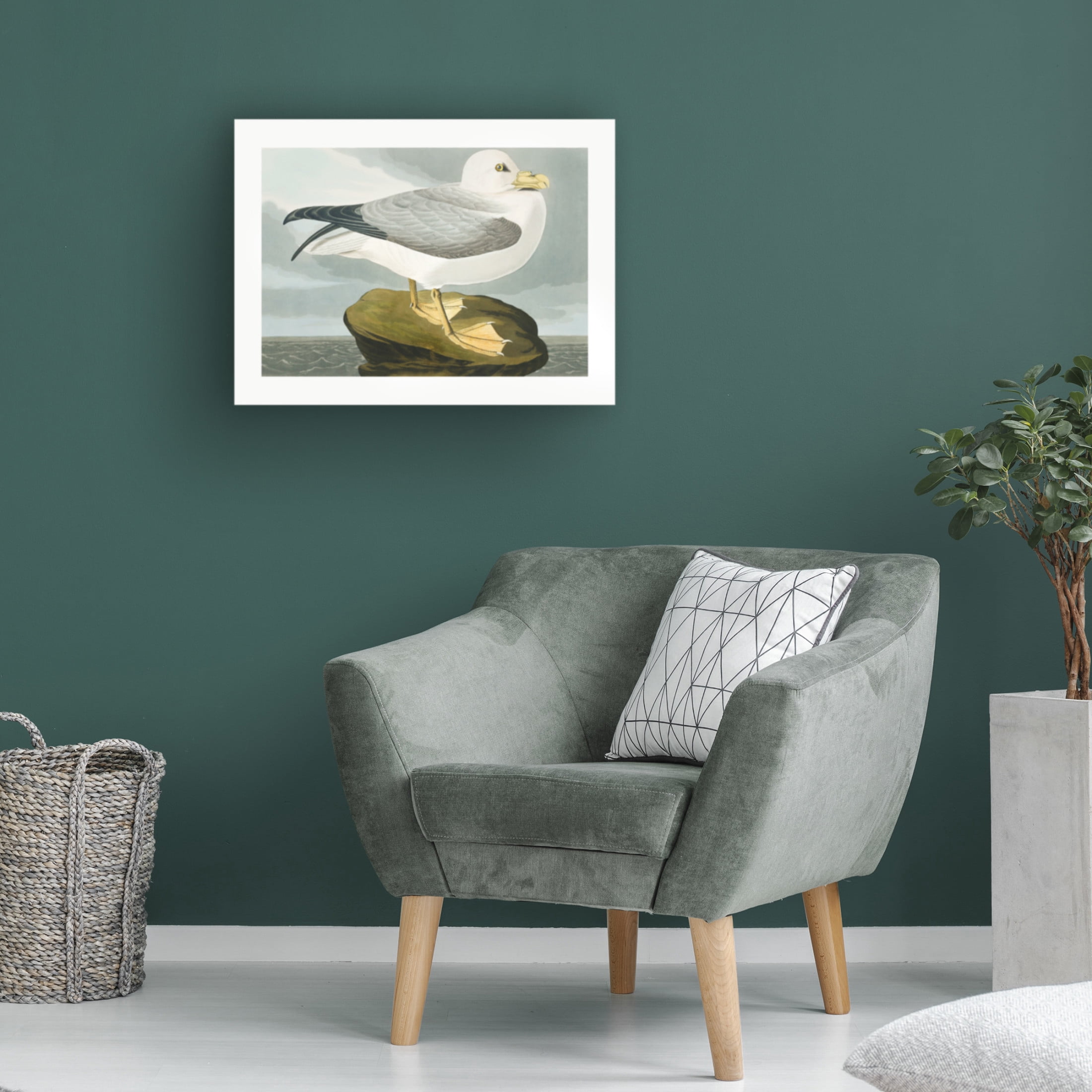 Trademark Fine Art Pictufy   Fulmar Petrel From Birds of America 1827 Canvas Wall Art