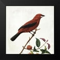 thumbnail image 2 of Grey, Jace 20x20 Black Modern Framed Museum Art Print Titled - Lovely Birds, 2 of 5