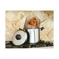 Cook Pro 6Quart 18/10 Stainless Steel Stovetop Deep Fryer/Stock Pot