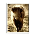 thumbnail image 4 of Stupell Industries Sunlit Highland Longhorn Cattle Wandering Rural Countryside Photograph White Framed Art Print Wall Art, Design by James Dobson, 4 of 5
