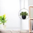 thumbnail image 3 of Wdftyju Maceta colgante para colgar en la pared, decoración de cesta para plantas oscilantes suculentas para balcón Wdftyju 5dd0xy9cu4mh2cs4D01, 3 of 9