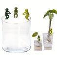 thumbnail image 4 of Propagación Plantas Buddy Soporte Accesorios Multifunción, 4 of 9