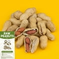 thumbnail image 4 of THE AMISH ECO-FARM | Raw Peanuts in Shell Fancy 5 lbs. (Great for Boiling, Squirrels and birds), 4 of 8