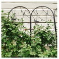 thumbnail image 5 of Metal Garden Trellis 2 Pack - 86.7" x 19.7" Rustproof Plant Support - Outdoor Climbing Flower Trellis with Dragonfly Design - Black, 5 of 9