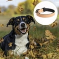 thumbnail image 3 of Leather dog collar, adjustable padded pet collar with alloy clasp, 3 of 5