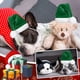 thumbnail image 4 of Conjunto de ropa de conejillo de indias navideño con gorro de Papá Noel y bufanda de animales pequeños, 4 of 5