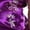 Dark Purple, variant on Dpytoraw Girls Chinese Dress Qipao Baby Girls New Year Clothing Floral Short Sleeve Cheongsam Kids Birthday Party Outfits Girls Sundresses,Purple Size 18-24 Months