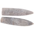 thumbnail image 3 of 2pcs Authentic Belemnite Specimen for Education Training Geology Paleontology Studies, 3 of 7