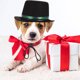 thumbnail image 4 of Luxshiny Wear Resistant Black Pet Bowler Hat for Dogs and Cats Comfortable and Lightweight, 4 of 8