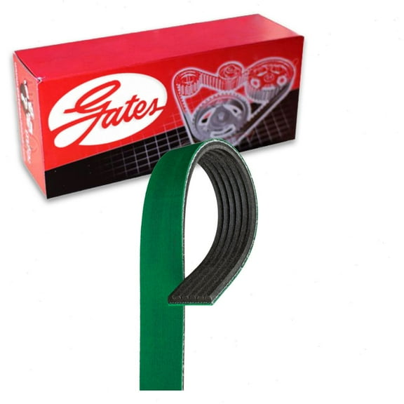 Gates FleetRunner Micro-V Serpentine Belt compatible with Ford F-150 3.3L 3.5L V6 2016-2020