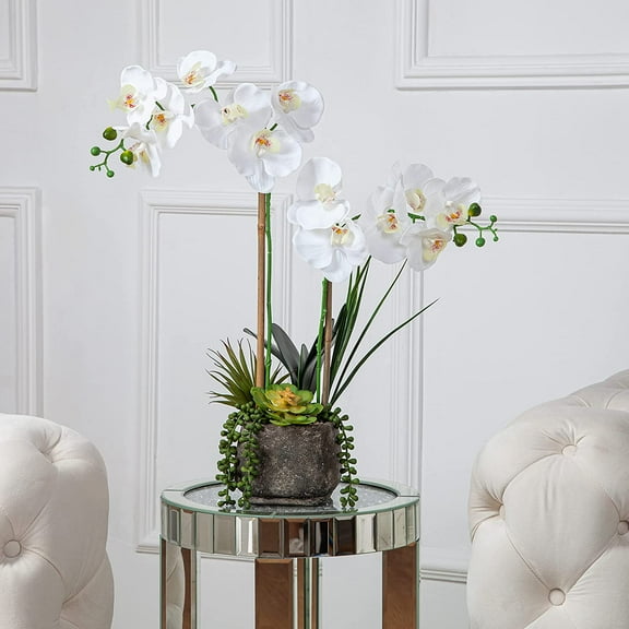 Vanity Art Artificial Phalaenopsis Orchids with Succulents Floral Arrangement in Pot | 2 Stems Real Touch Artificial Flowers for Living Room, Entryway Table Decorations, MLTAO-1013SS