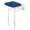 ARC ES2200-BU Economy Compact Seat without Back and Arms, Blue