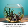 thumbnail image 3 of unbranded Adorno De Resina Con Vacío Para Acuario Que Mejora Y Refugio Natural, 3 of 8