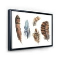 thumbnail image 3 of Designart 'Ethnic Boho Feathers In Earth Tones On White' Bohemian & Eclectic Framed Canvas Wall Art Print, 3 of 5