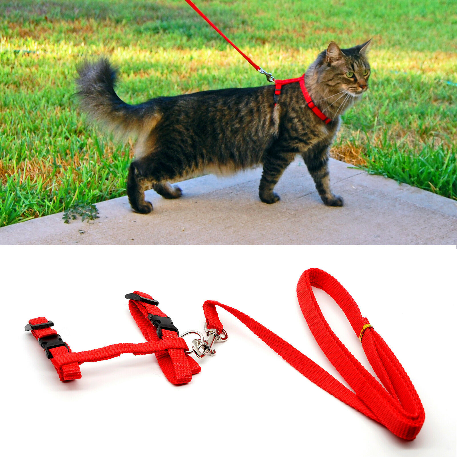 cat walking collar