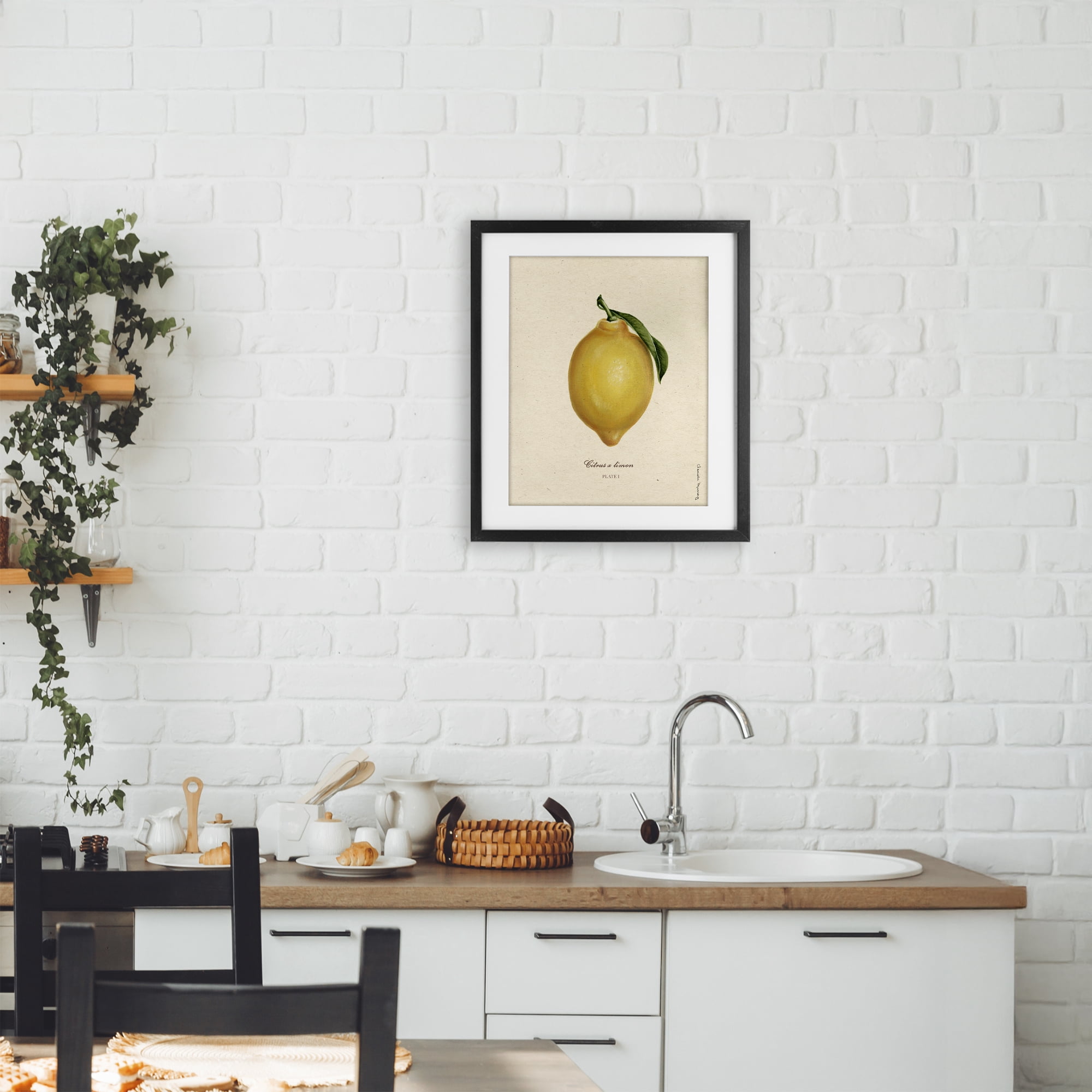 Stupell Industries Lemon Fruit Portrait Black Framed Print Under Glass, design by Danielle Murray