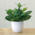 thumbnail image 3 of Flmtop Fresh Artificial Foliage Plant Pot Bonsai Party Mall Home Desktop Office Decor, 3 of 7