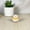Gray Brown, variant on Ceramic Glazed Shiba Inu Cute Doggy Tumbler Roly Poly Toy Dog Figure- Brown