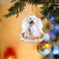 thumbnail image 4 of Xihbxyly Colgante de Perro Alado, Adorno para Árbol de Navidad, Adorno Navideño Único, Accesorio de Decoración para El Hogar, Regalo Perfecto para Familiares y Amigos, Ideal para Navidad y Año Nuevo,, 4 of 6