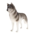 thumbnail image 3 of Perro Husky de salvajes realistas 2 piezas Hugo Juguete de figura de animal, 3 of 10