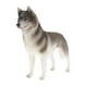 thumbnail image 3 of Figuras de Modelo Sunnimix Juguete de figura de animal Husky 2 Piezas, 3 of 8