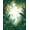 Green, Pattern 1, variant on Flatwoven High Traffic Area Rug, Ethereal Insect & Floral Tapestry, Non Slip, Stain Resistant, Washable Area Rugs for Living Room, Bedroom(Green, 2X3)