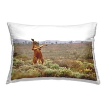 Stupell Industries Funny Kangaroo in Nature Decorative Printed Throw Pillow, 14 x 20