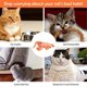 thumbnail image 3 of Electric Jumping Cat Toys Simulation Lobster Dog Toy, 3 of 5