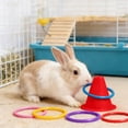thumbnail image 4 of BotaniNest Rabbit Interactive Educational Interesting Rabbit Rings And Games Suitable For Small Animals Squirrels Birds Cats Hamsters Indoor Or Cages, 4 of 5
