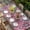 pink, variant on Vintage Middle Century Table Cloths for 5 Foot Rectangle Tables, Abstract Bohemia Style Aztec Pink Patio Waterproof Elastic Fitted Tablecloths, Washable Rectangular Table Cover for Camping