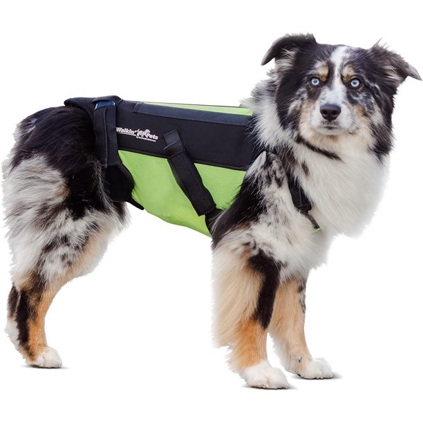Walkin’ Pets vertebraVe Dog Back Rehabilitation Brace Medical Grade