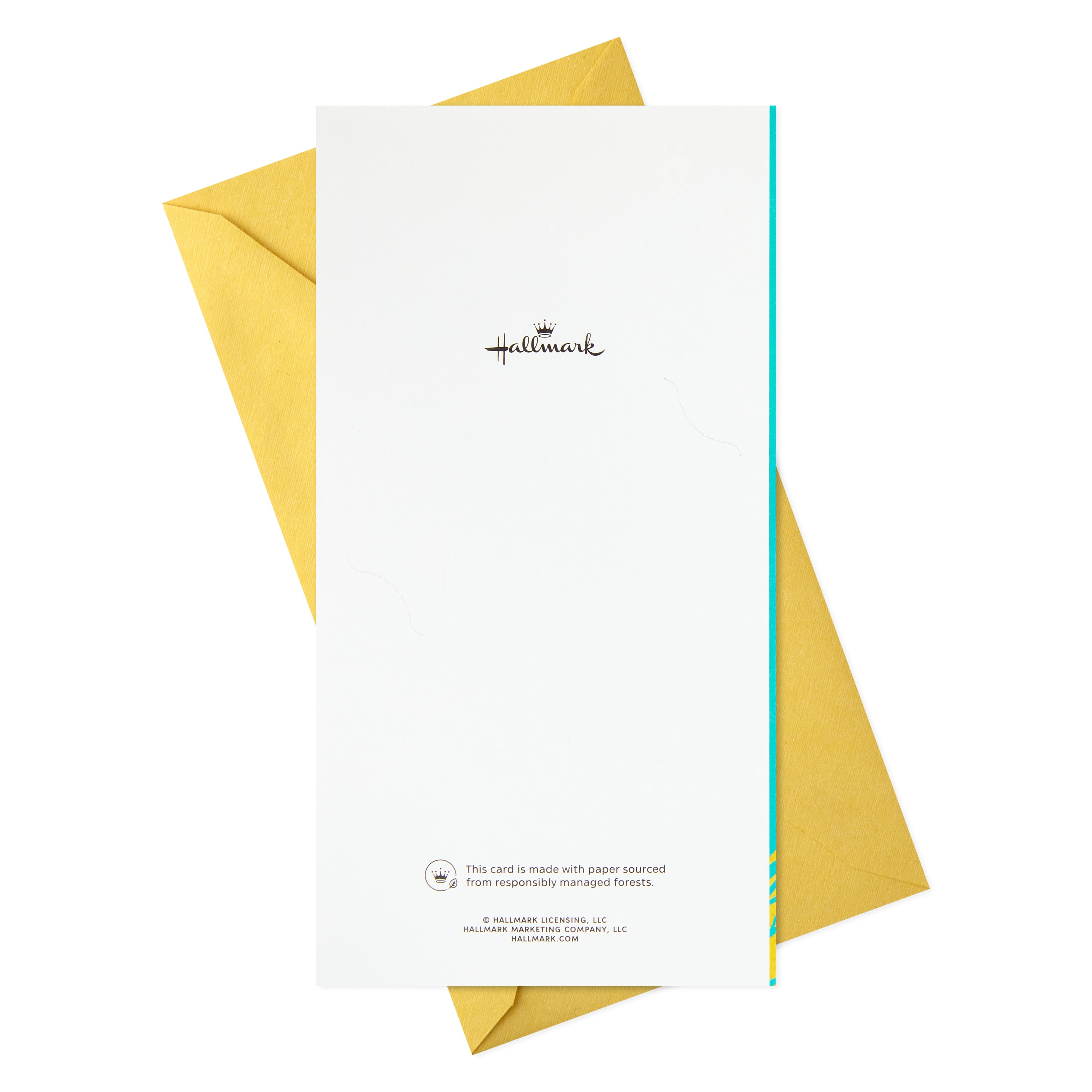 Connections from Hallmark Money Holder Graduation Cards, 10 ct. (Life Is a Story)