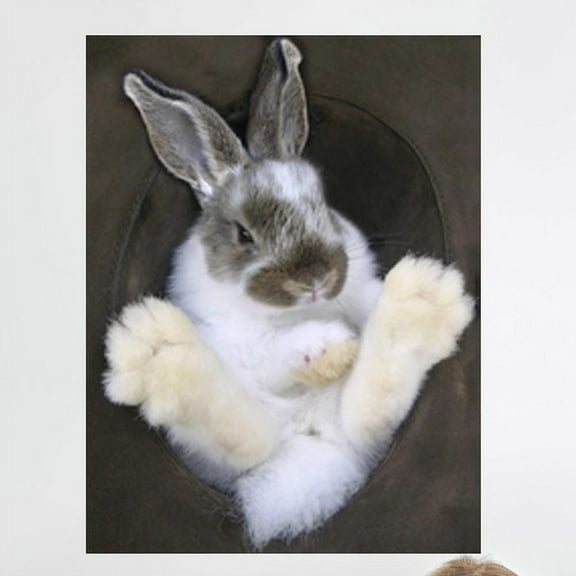 Wallhogs Bunny in a Hat Wall Mural