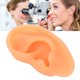 thumbnail image 5 of Ear Model Flexible Educational Simulated Ear Mould Soft Lifelike for Hospital ANGGREK Otros, 5 of 8