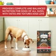 thumbnail image 4 of Rachael Ray Nutrish Dish Beef & Brown Rice Recipe With Veggie & Fruit Blend Dry Dog Food, 11.5 lb. Bag, 4 of 8