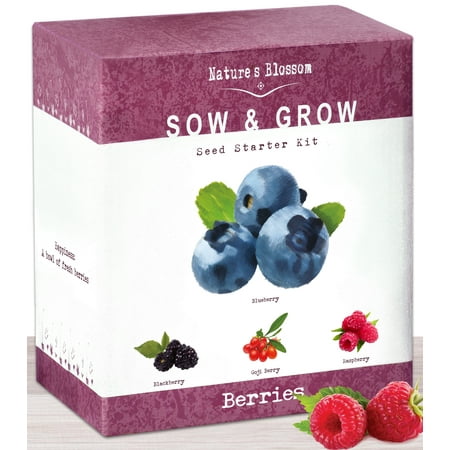 Nature’s Blossom Fruit Growing Kit. The Beginner’s Set to Grow 4 Types of Berries from Seed - Raspberries ; Blueberries ; Goji Berry ; Blackberries. Contains Planting Pots, Soil & Gardening (Best Weed Growing Kit)