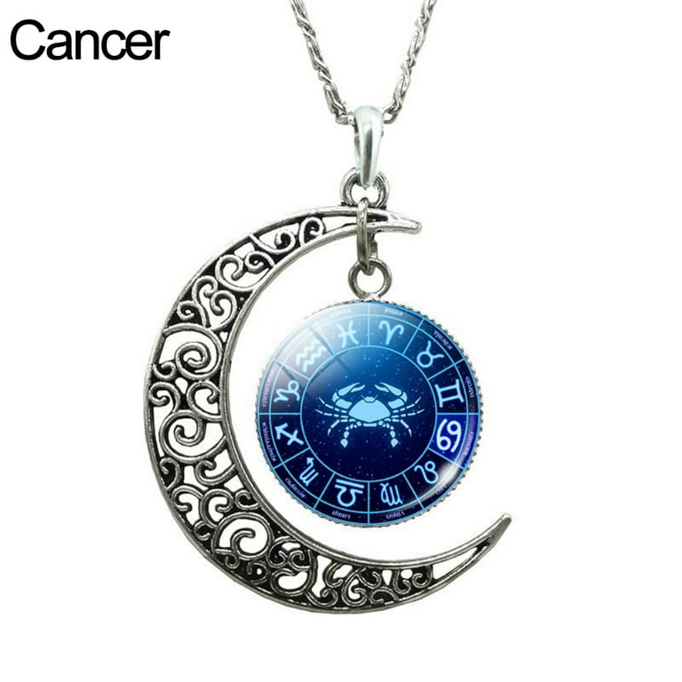  2023 New 12 Constellation Moon Necklace Time Gem Pendant  Starry Universe Wildflower Necklace for Women (E, One Size) : Pet Supplies