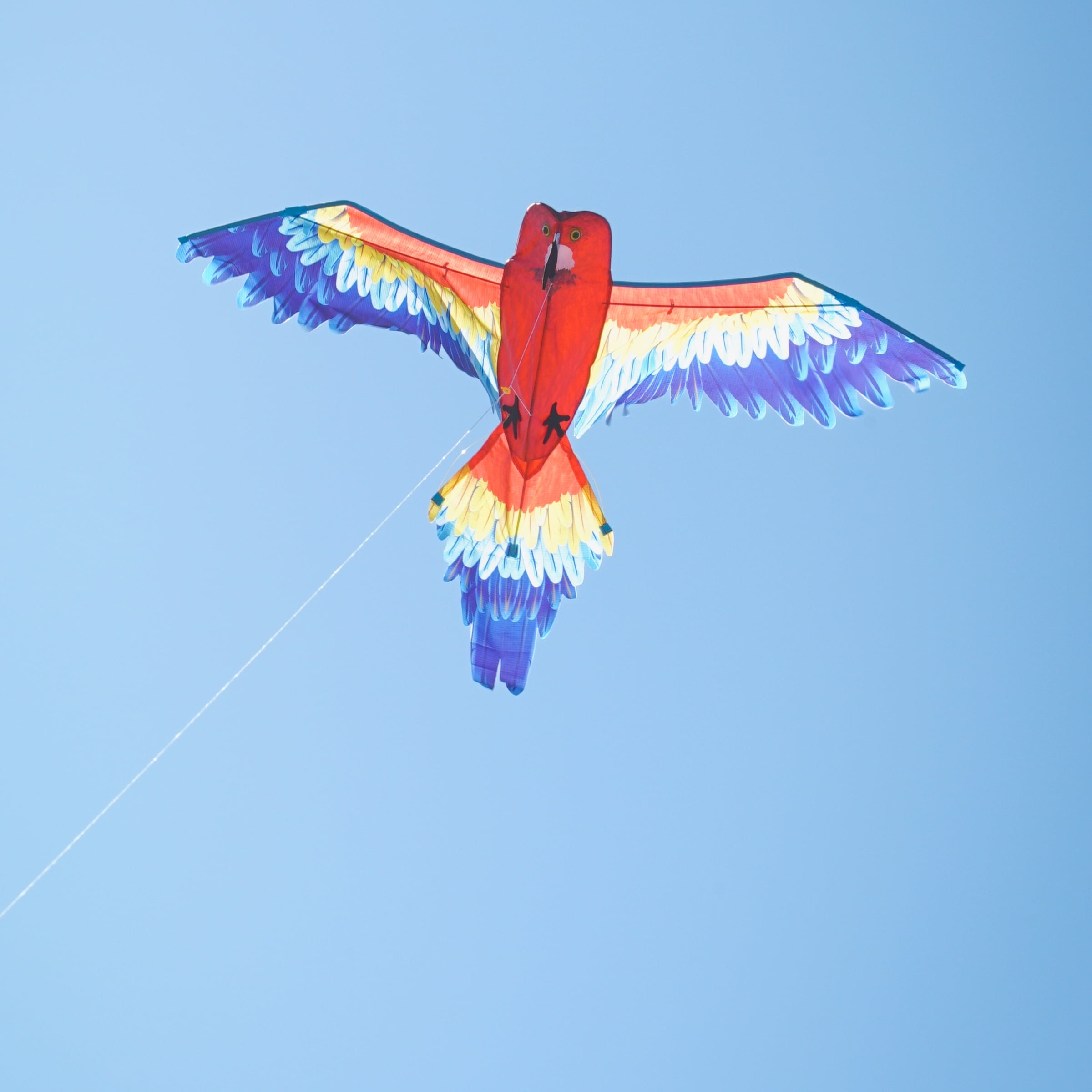In the Breeze 3381 — 3D Parrot Kite — Colorful-Printed Bird Kite with Applique Details, Kite Line and Reusable Bag Included