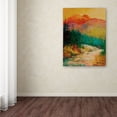 thumbnail image 3 of Trademark Fine Art 'Northern Essence Ak' Canvas Art by Marion Rose, 3 of 3